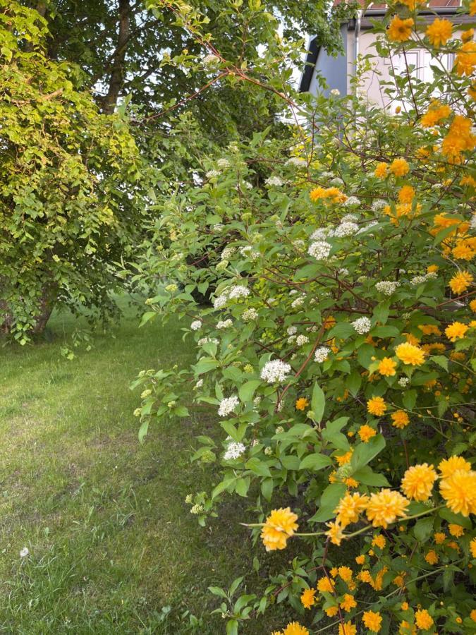 Gawramaszki - Agroturystyka - Komfortowe Pokoje Z Lazienkami I Aneksami Kuchennymi Węgorzewo Extérieur photo