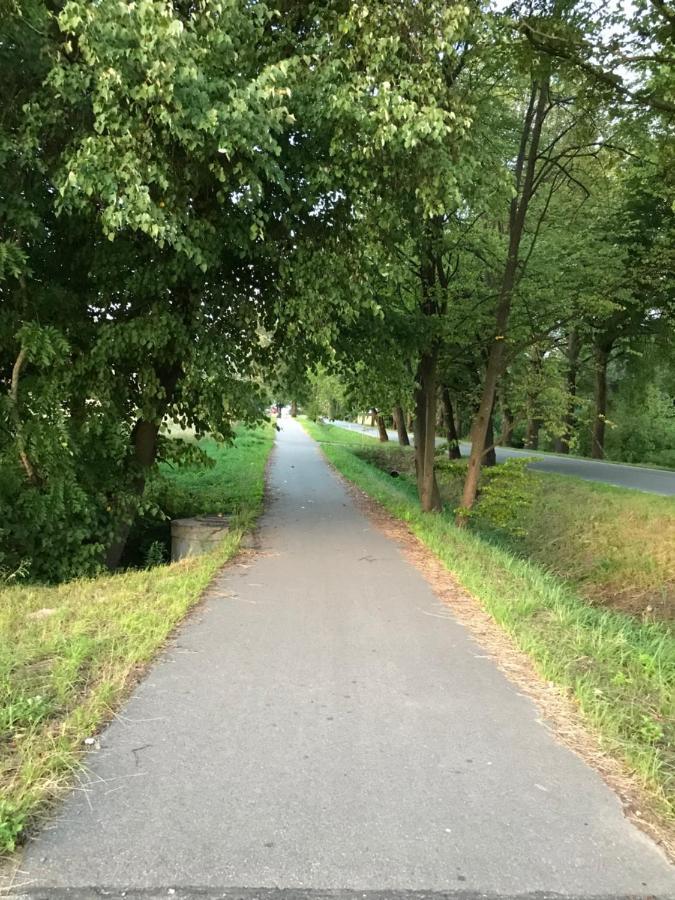 Gawramaszki - Agroturystyka - Komfortowe Pokoje Z Lazienkami I Aneksami Kuchennymi Węgorzewo Extérieur photo